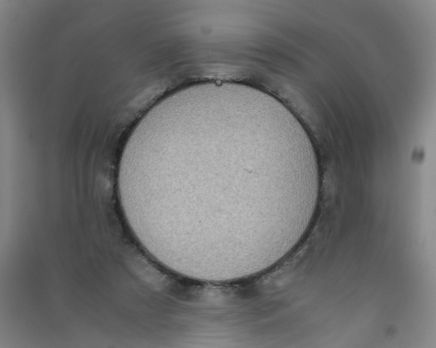 X0000090900305200708201724