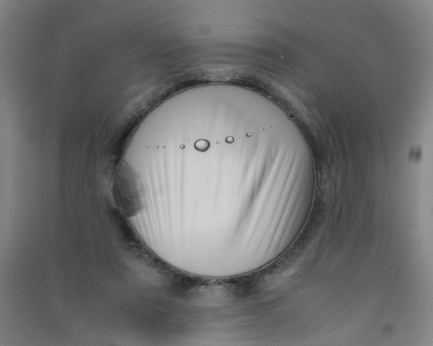 X0000090900307200708201724