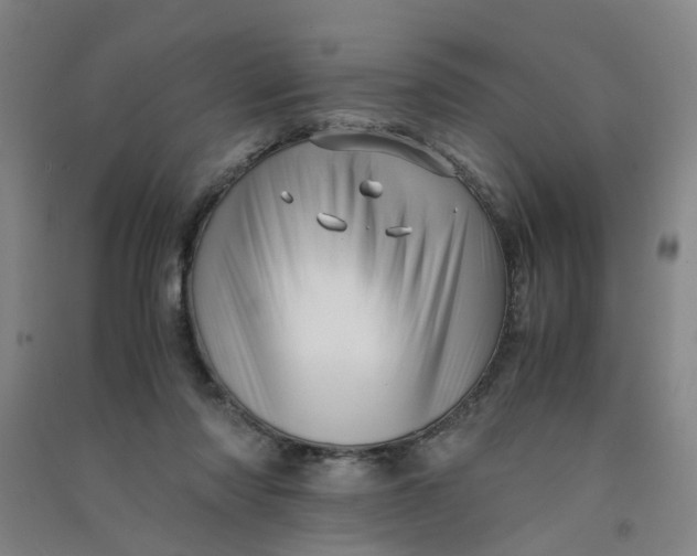 X0000090900310200708201724