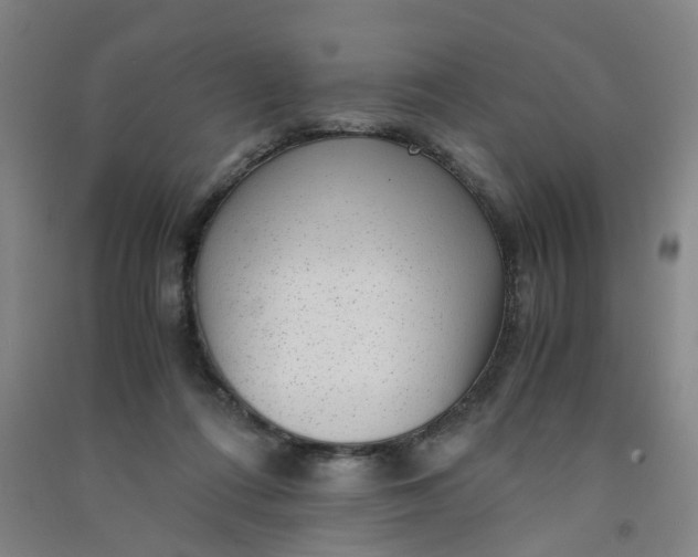 X0000090900312200708201724