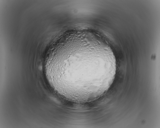 X0000090900315200708201724