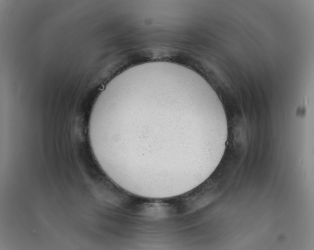 X0000090900316200708201724