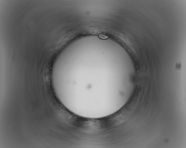 X0000090900317200708201724