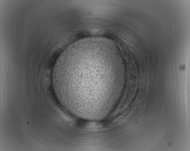 X0000090900319200708201724