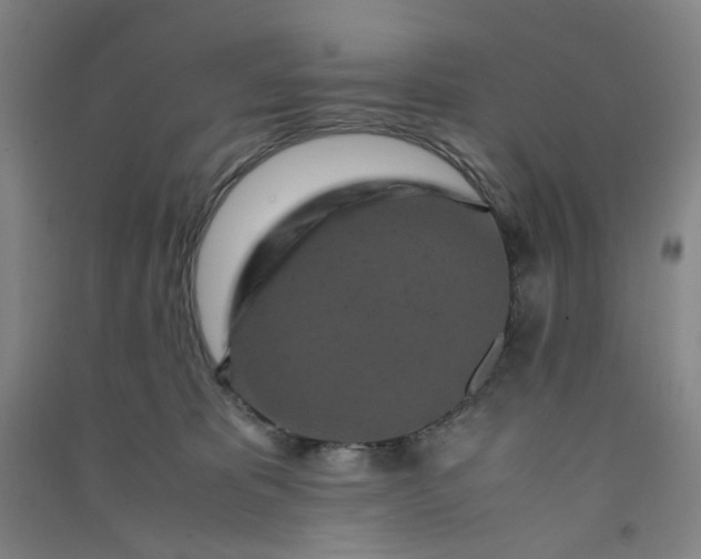 X0000090900325200708201724