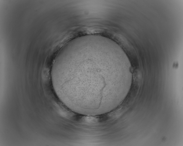 X0000090900327200708201724