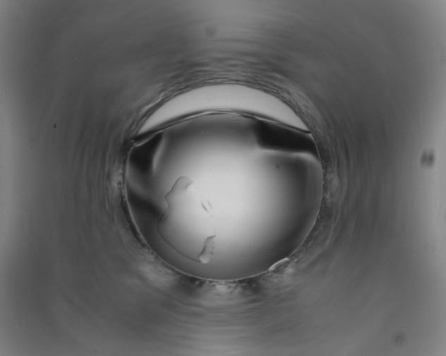 X0000090900329200708201724