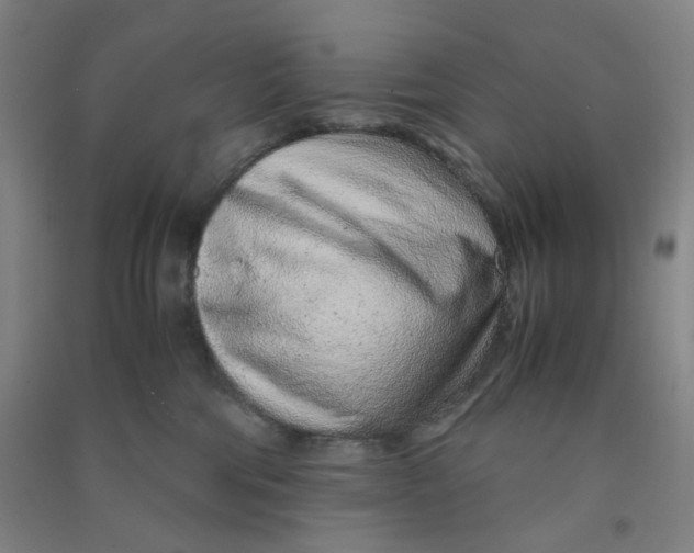 X0000090900330200708201724