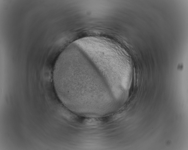 X0000090900331200708201724