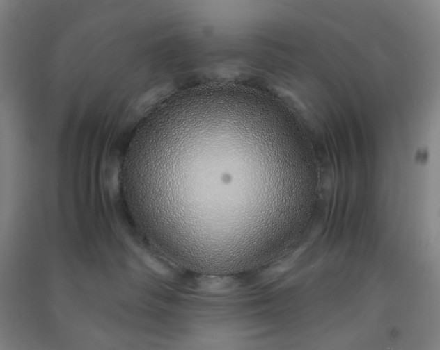 X0000090900334200708201724