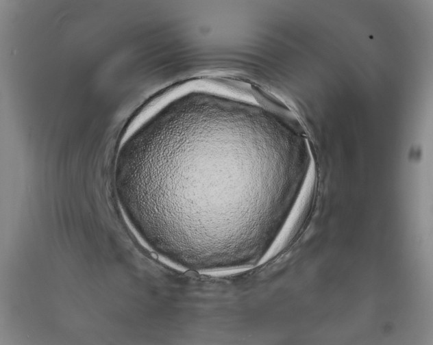 X0000090900337200708201723