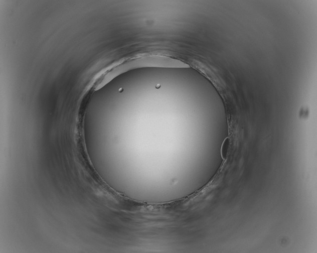 X0000090900338200708201723