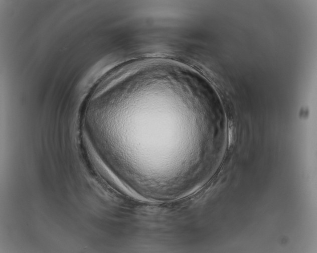 X0000090900339200708201723