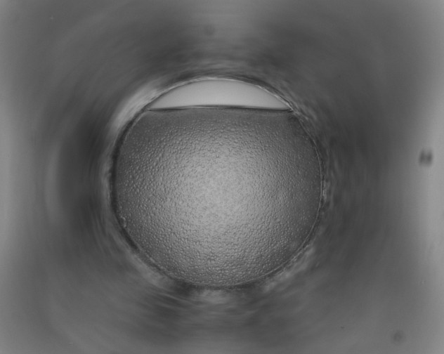 X0000090900341200708201723