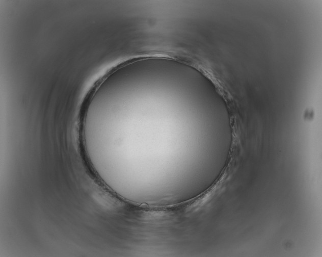 X0000090900342200708201723