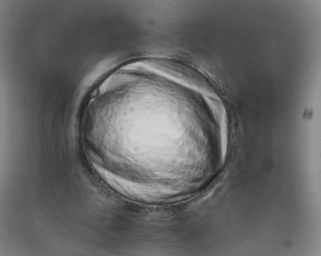 X0000090900343200708201723