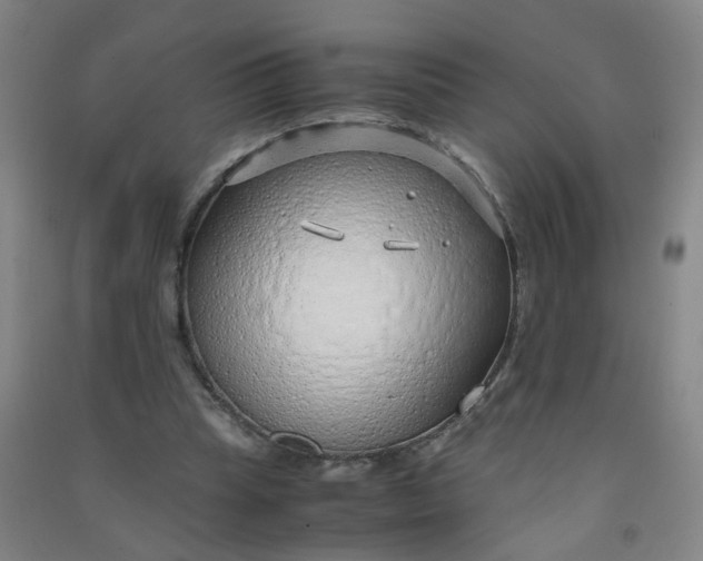 X0000090900345200708201723