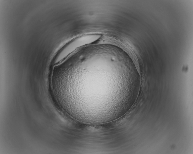 X0000090900346200708201723