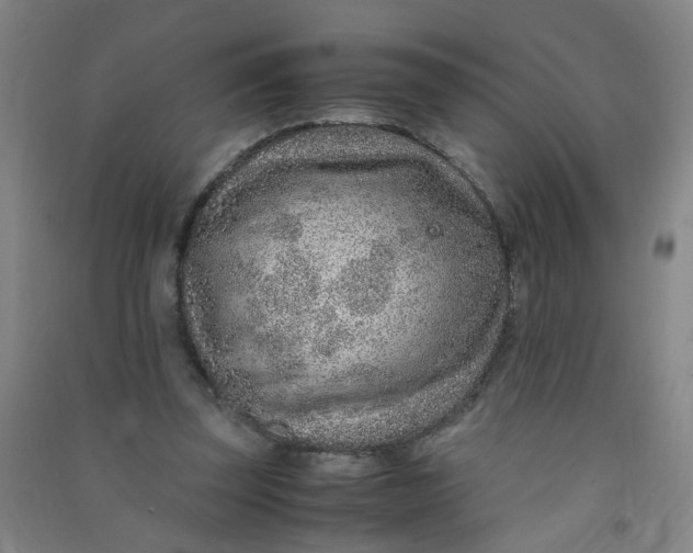 X0000090900347200708201723