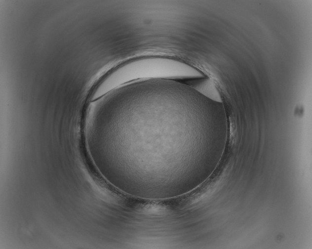 X0000090900348200708201723