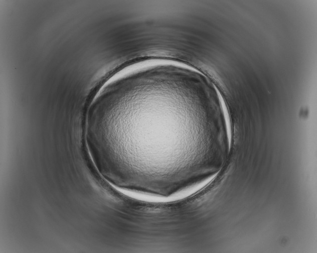 X0000090900349200708201723