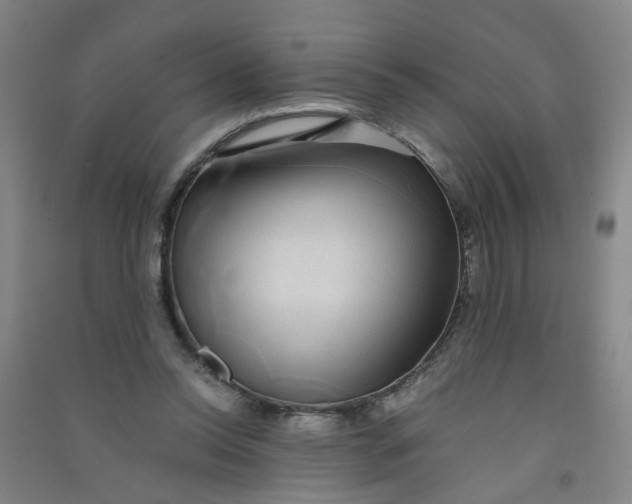 X0000090900350200708201723