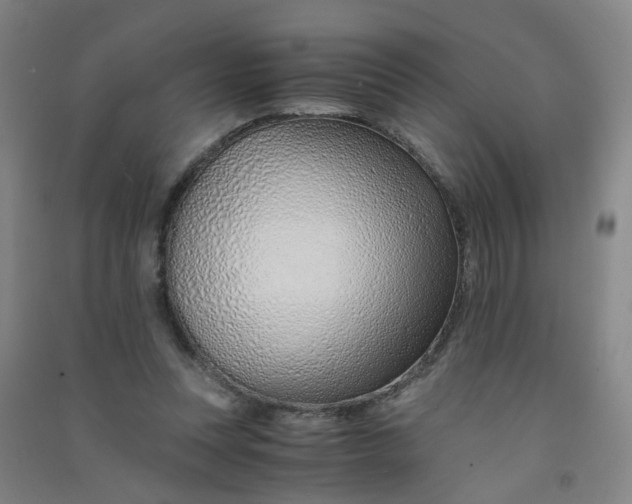 X0000090900351200708201723