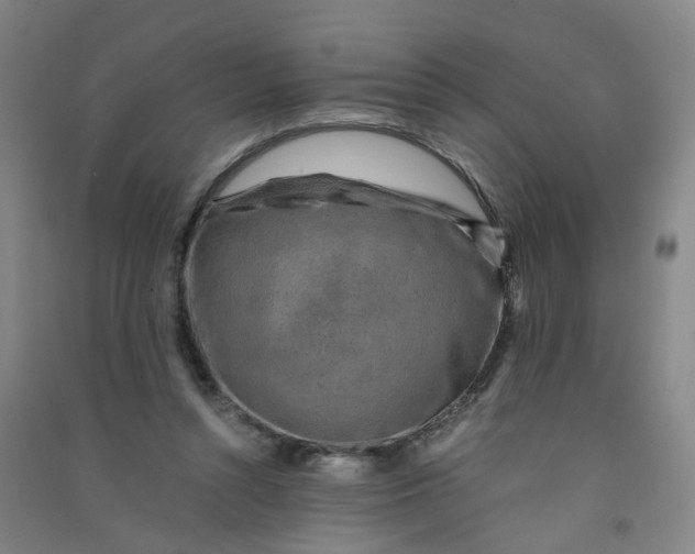 X0000090900352200708201723