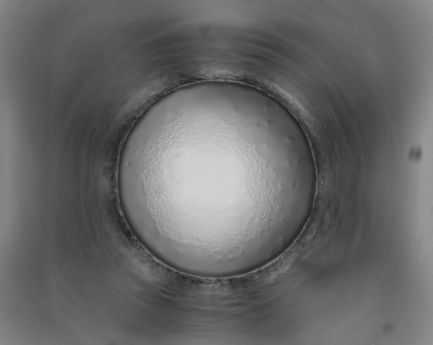 X0000090900353200708201723