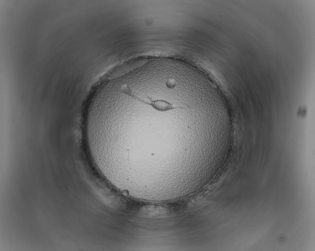 X0000090900354200708201723