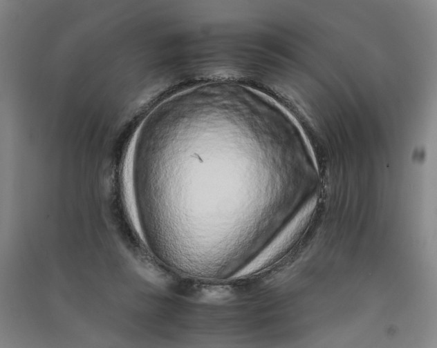 X0000090900355200708201723