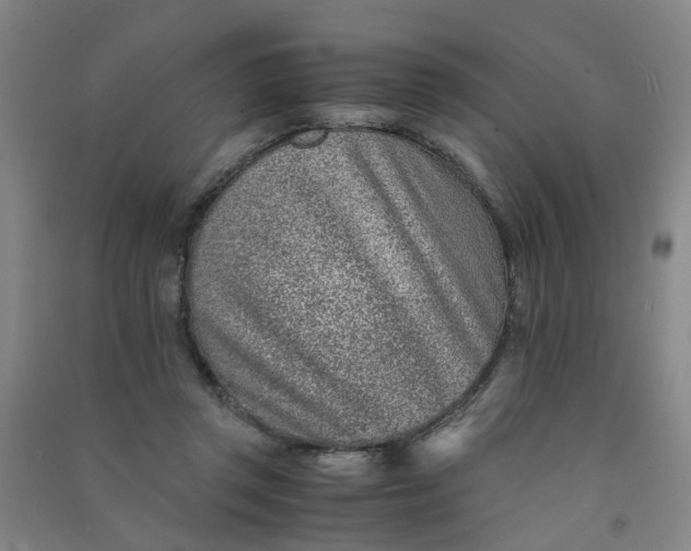 X0000090900357200708201723