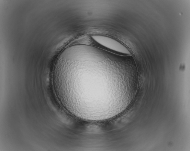 X0000090900358200708201723