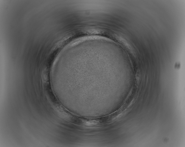 X0000090900359200708201723