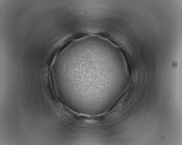 X0000090900360200708201723