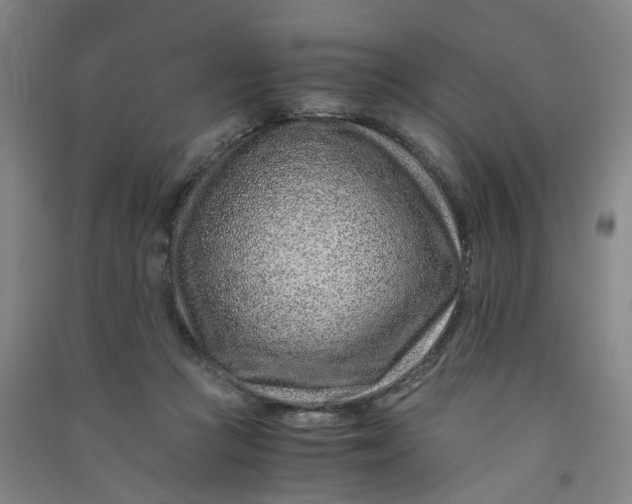 X0000090900361200708201723