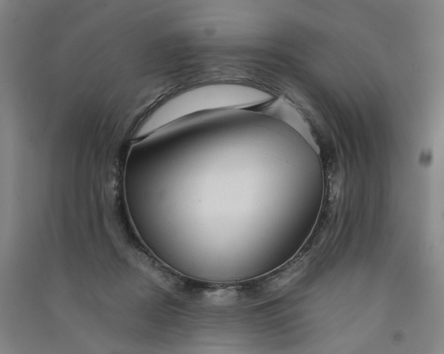 X0000090900362200708201723