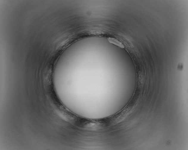 X0000090900364200708201723