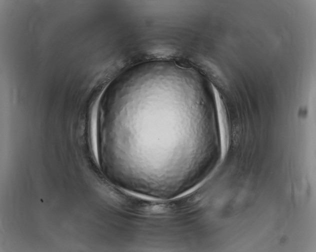 X0000090900365200708201723