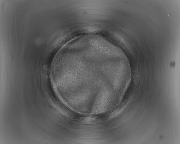 X0000090900366200708201723