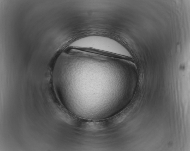 X0000090900367200708201723