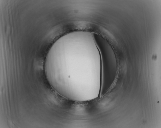 X0000090900368200708201723