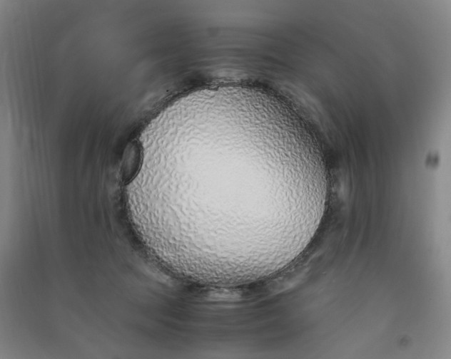 X0000090900369200708201723