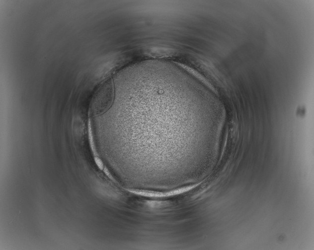 X0000090900371200708201723