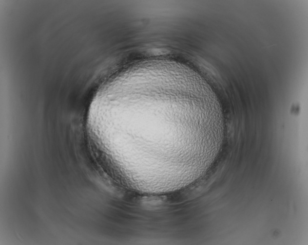 X0000090900373200708201723