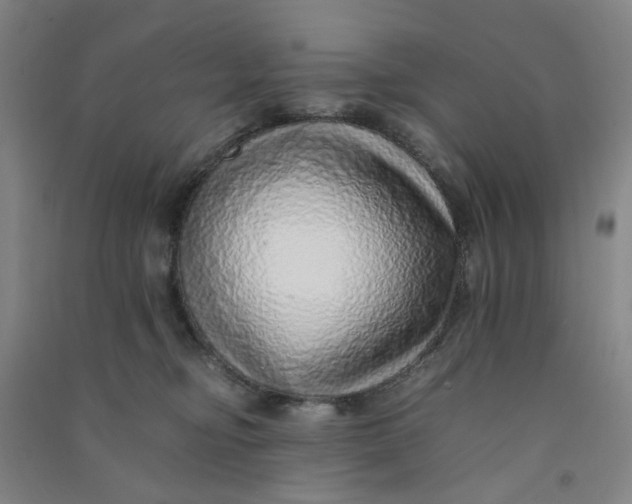 X0000090900374200708201723