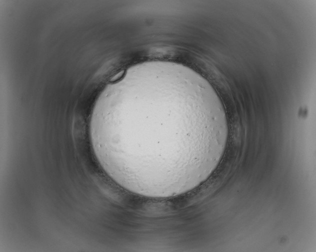 X0000090900375200708201723