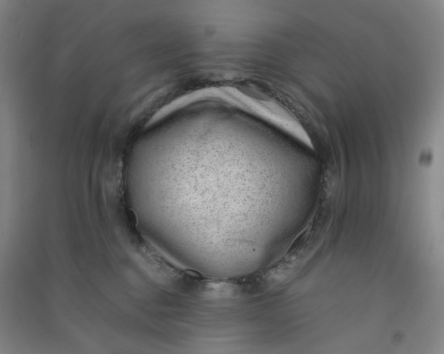 X0000090900376200708201723