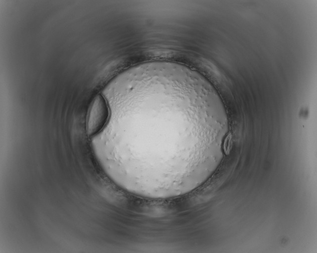 X0000090900377200708201723