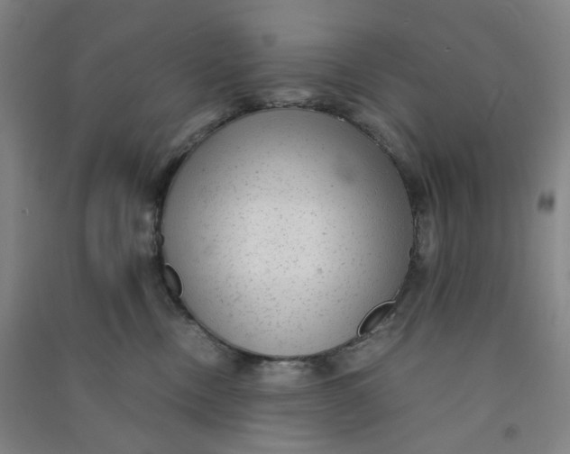 X0000090900378200708201724